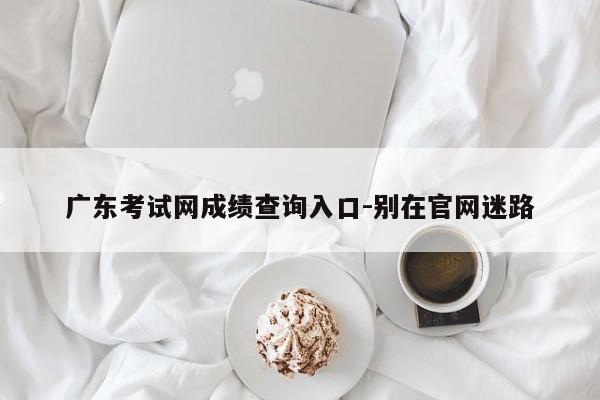 广东考试网成绩查询入口-别在官网迷路